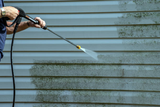 Best Pressure Washing Company Near Me  in Mineral Springs, AR